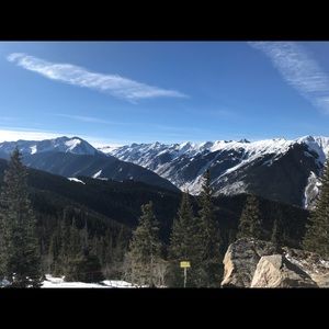 Meet your Posher, Bailey